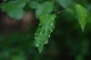 342257 – Photo : Numayta – France (68)